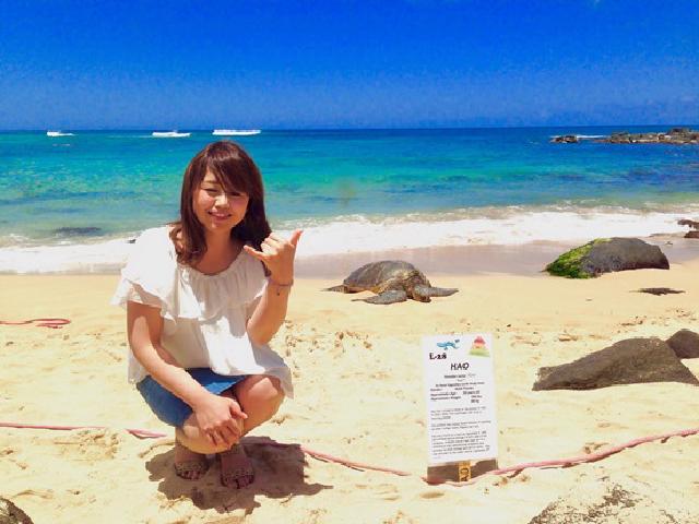 オアフ島 ノースショア 観光のオプショナルツアー 現地ツアーを比較 格安予約 トラベルコ 2ページ