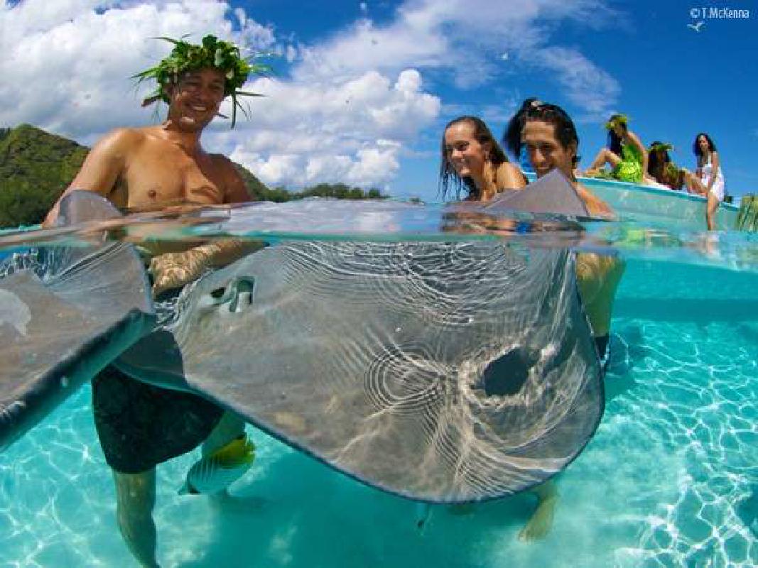 タヒチ ボラボラ島の観光スポットおすすめ6選 充実した旅行を おすすめ旅行を探すならトラベルブック Travelbook