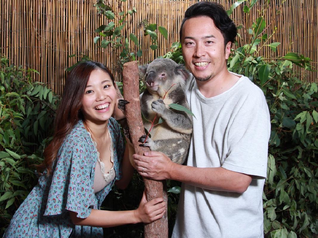 オーストラリア 初めてのグレートバリアリーフ観光ガイド 見どころ 行き方まとめ おすすめ旅行を探すならトラベルブック Travelbook オーストラリア 初めてのグレートバリアリーフ観光ガイド 見どころ 行き方まとめ おすすめ旅行を探すならトラベルブック Travelbook