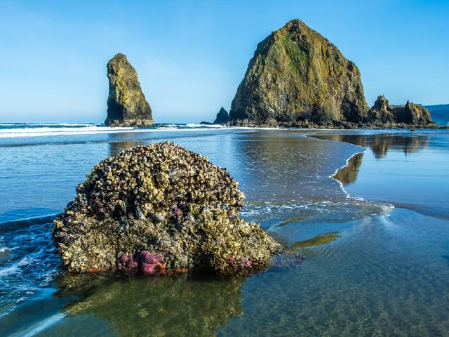 キャノン ビーチのオプショナルツアー 現地ツアーを比較 格安予約 トラベルコ