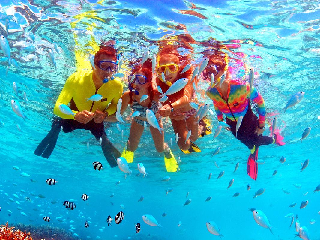 グアムでシュノーケリング お勧めスポット毎に高評価オプショナルツアーをご紹介 Howtravel
