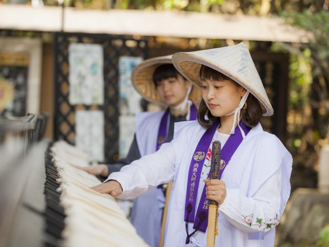 長期休暇がなくてもできる 四国八十八か所 区切り歩き遍路のススメ 旅路編