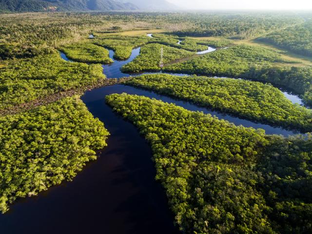 マナウスのオプショナルツアー 現地ツアーを比較 格安予約 トラベルコ