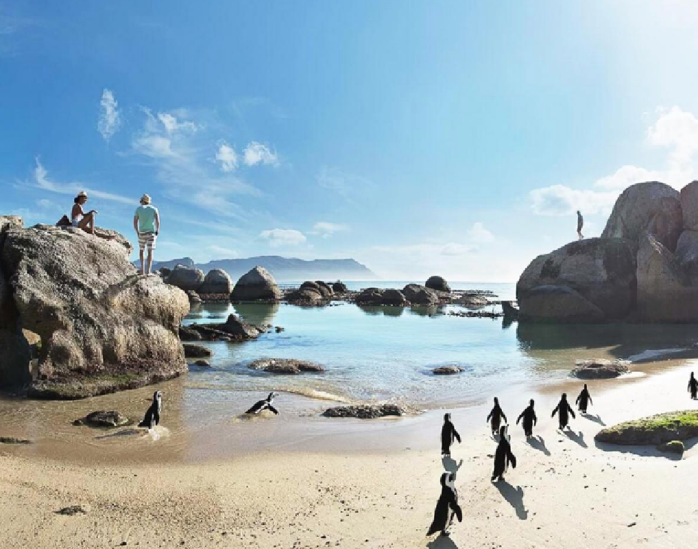 南アフリカ ケープタウンでおすすめの観光地17選 ヨーロッパからの旅行者に人気の観光都市 おすすめ旅行を探すならトラベルブック Travelbook