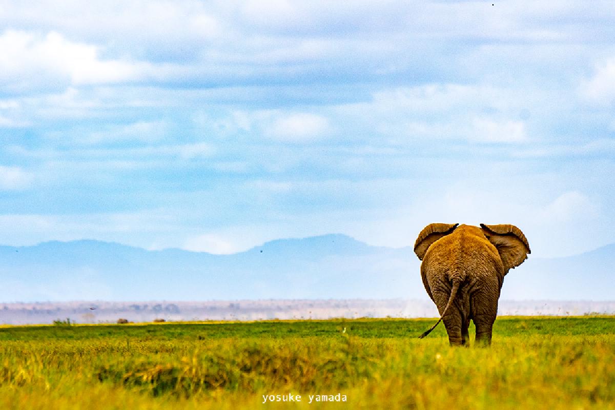 南アフリカ ケープタウンでおすすめの観光地17選 ヨーロッパからの旅行者に人気の観光都市 おすすめ旅行を探すならトラベルブック Travelbook