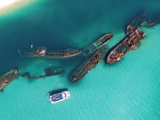 クルーズのオプショナルツアー 現地ツアーを比較 格安予約 トラベルコ