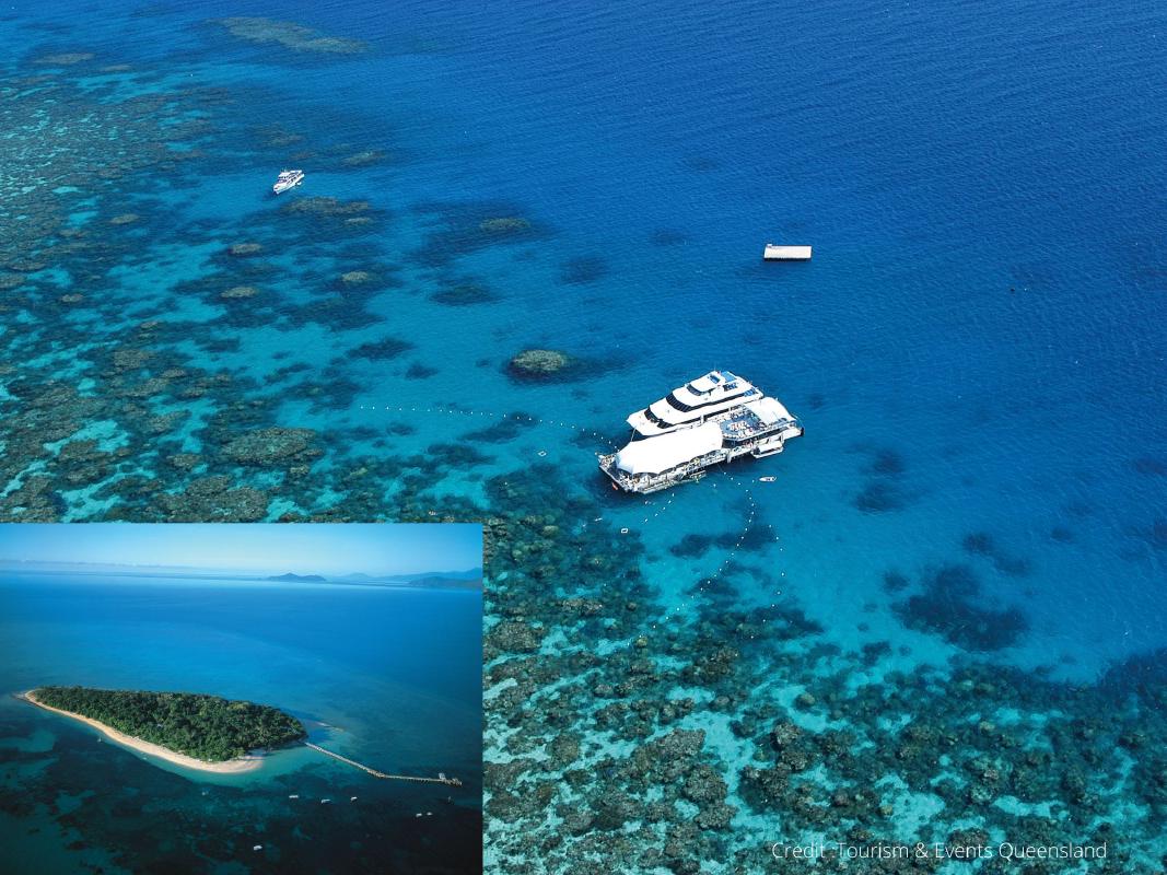 ケアンズからグリーン島と世界遺産のグレートバリアリーフを満喫 ランチ付き グリーン島とグレートバリアリーフアドベンチャー