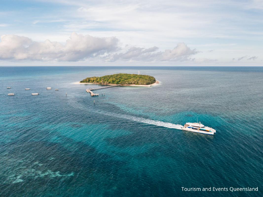 ケアンズ発 世界遺産グリーン島ディスカバリー リーフフリートターミナル集合