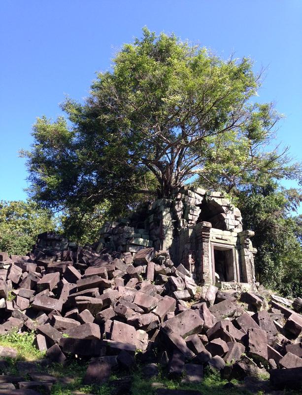 大自然 ジャングルに佇むベンメリア遺跡 高床式住居の水上村コンポンプルック 1日昼食付 日本語ガイド