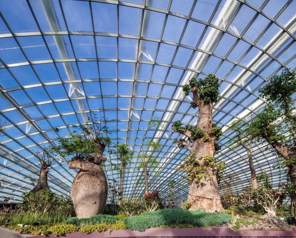 シンガポール オンラインツアー 知れば知るほど面白い 近未来型植物園 ガーデンズ バイ ザ ベイ を散歩しよう