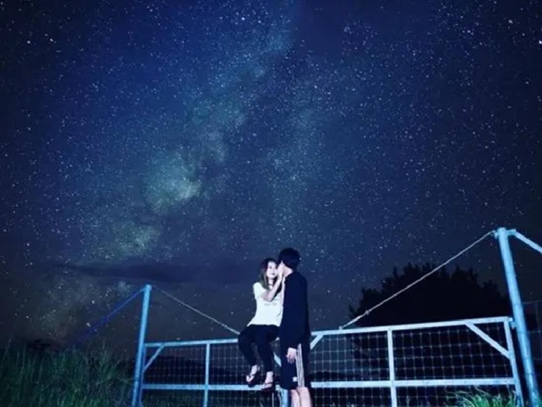 星空鑑賞&ナイトサファリ 星空保護区認定エリア八重山の天体ショーとジャングルナイトツアー!当日19時までリクエストOK<指定ホテル送迎付き/西表島>