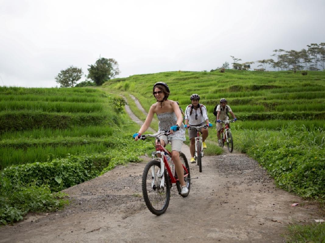 インドネシア】ペニダ島の観光スポットおすすめ8選!充実した旅行を