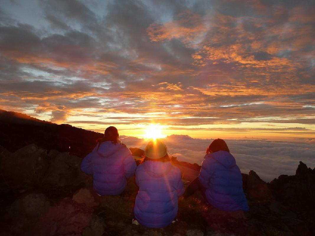 マウイ島のオプショナルツアー ハワイ 現地ツアーを徹底比較 おすすめ旅行を探すならトラベルブック Travelbook