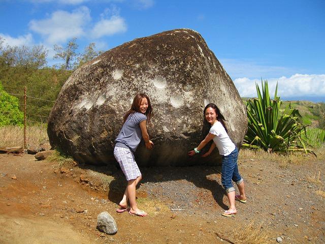 マウイ島のオプショナルツアー 現地ツアーを比較 格安予約 トラベルコ