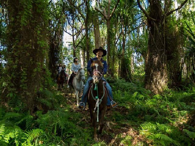オーストラリア 乗馬のオプショナルツアー 現地ツアーを比較 格安予約 トラベルコ